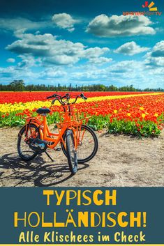 Typisch Holland! Unser Klischee-Check